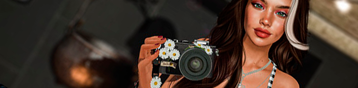 Photographer freelancing jobs in Second Life